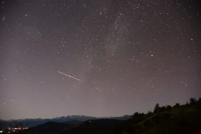 DSC_1113 (Large).JPG